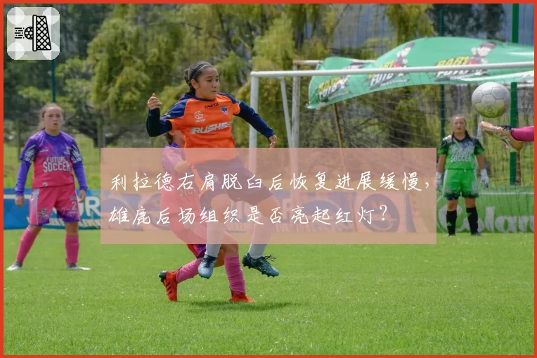 利拉德右肩脱臼后恢复进展缓慢,雄鹿后场组织是否亮起红灯?