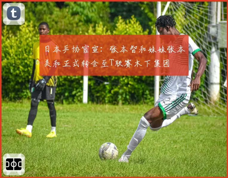 日本乒协官宣:张本智和妹妹张本美和正式转会至T联赛木下集团