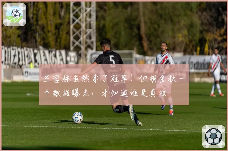 王哲林虽然拿了冠军!但胡金秋一个数据曝光,才知道谁是真核