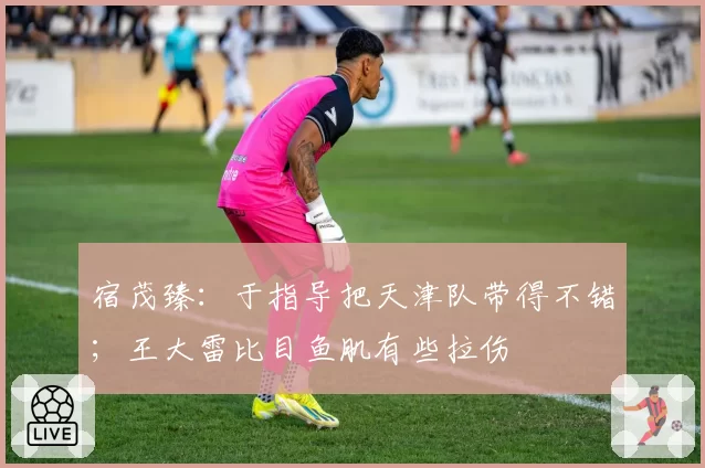 宿茂臻：于指导把天津队带得不错；王大雷比目鱼肌有些拉伤