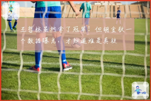 王哲林虽然拿了冠军!但胡金秋一个数据曝光,才知道谁是真核
