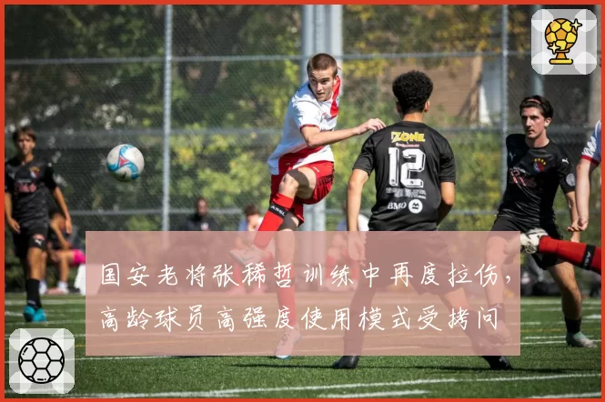 国安老将张稀哲训练中再度拉伤,高龄球员高强度使用模式受拷问